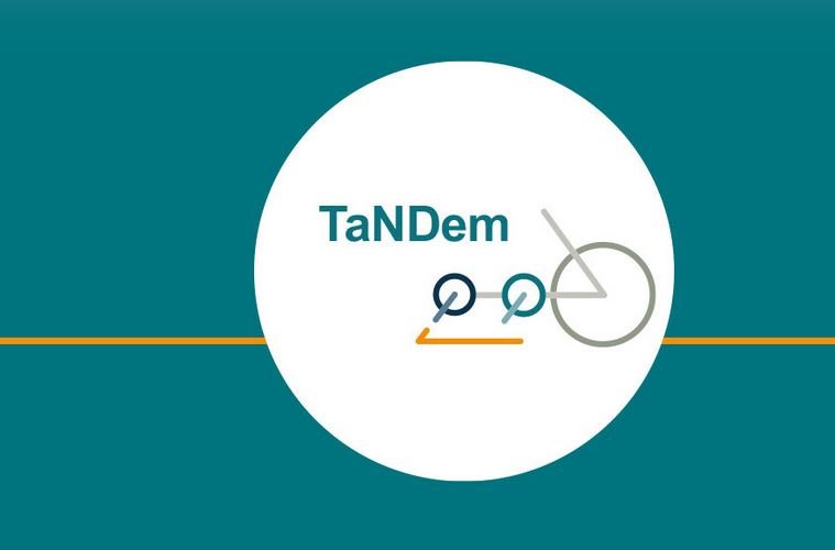 Logo des Transnationalen Netzwerks für Demenz-Versorgungsforschung (TaNDem) 